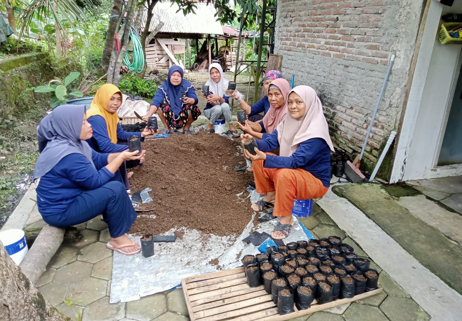 Peringati Hari Kartini, KWT Cahaya Gemilang Desa Dondong Kejar Target Bibit Kopi Liberika